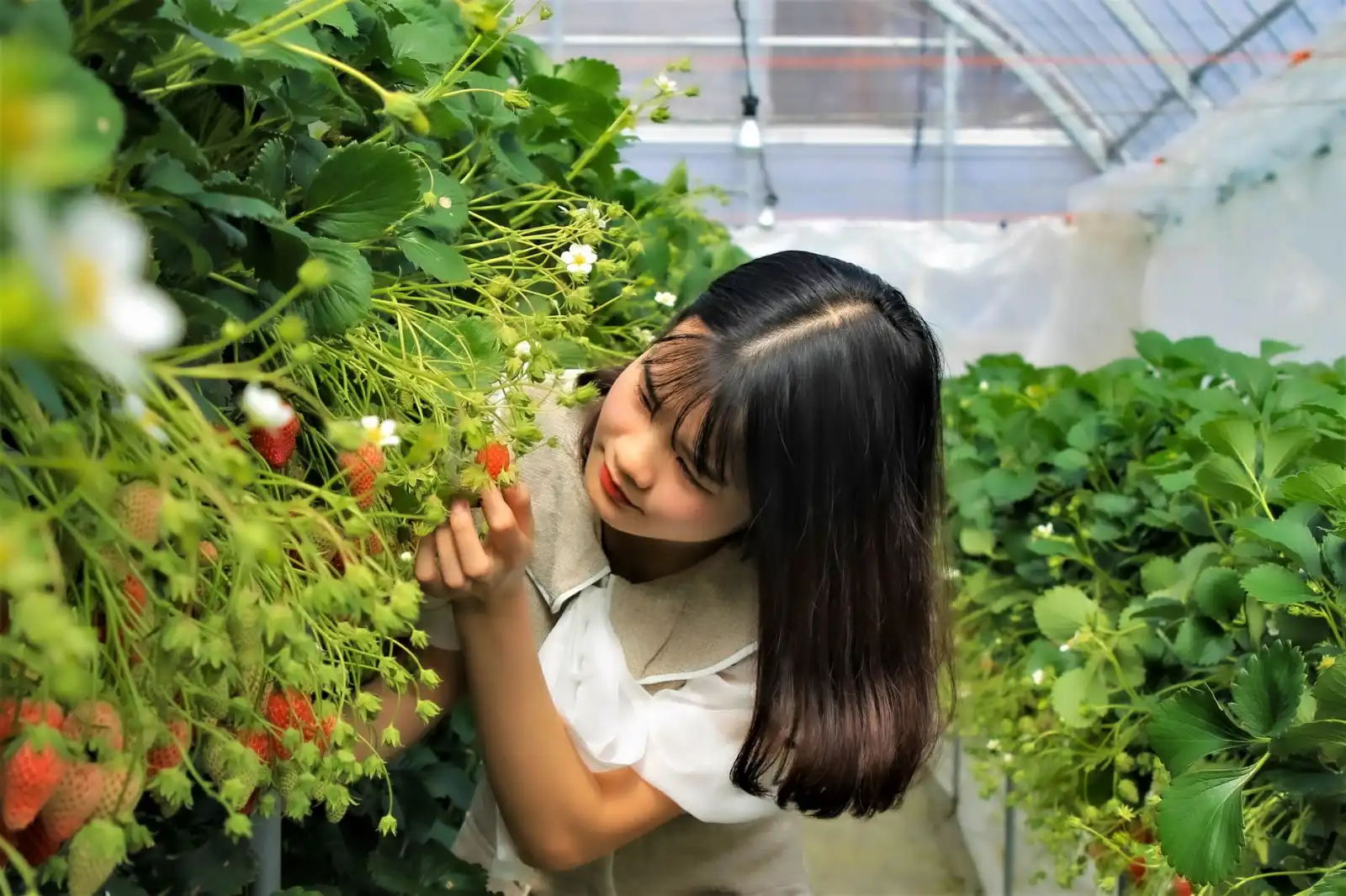 服装服饰供应链新趋势：广州贸易企业如何优化商超供货流程