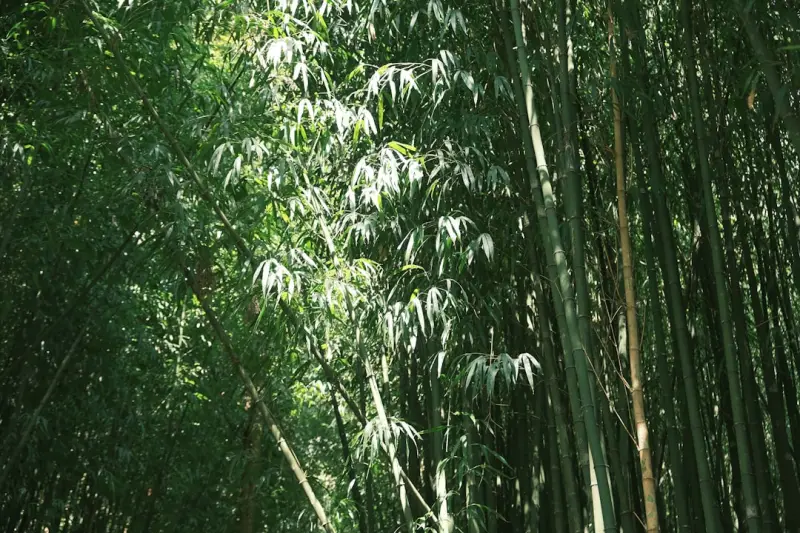 服装服饰与日用品批量采购：广州贸易商选型对比分析